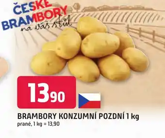 Trefa BRAMBORY KONZUMNÍ POZDNÍ 1 kg nabídka