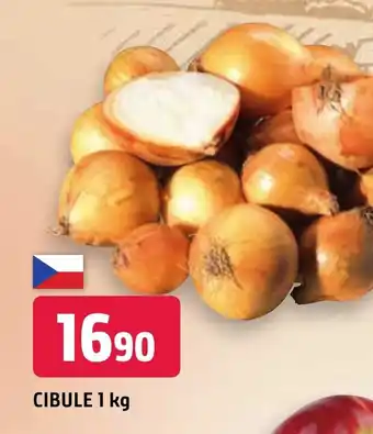 Trefa CIBULE 1 kg nabídka