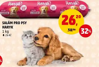 Penny Market SALÁM PRO PSY HARYK nabídka
