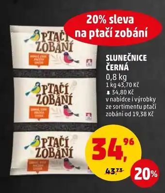 Penny Market SLUNEČNICE ČERNÁ nabídka