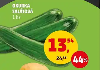 Penny Market OKURKA SALÁTOVÁ nabídka
