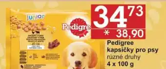 Jip Pedigree kapsičky pro psy nabídka