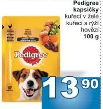 Jip Pedigree kapsičky nabídka
