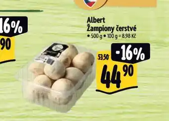 Albert Žampiony čerstvé nabídka