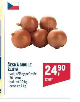 Makro Cibule žlutá nabídka