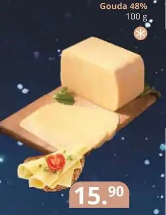 Potraviny CZ Gouda 48% nabídka