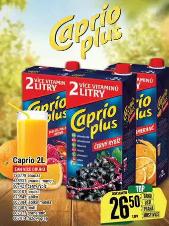 Tamda Foods Caprio 2L nabídka
