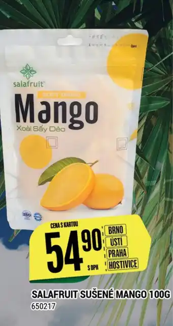 Tamda Foods SALAFRUIT SUŠENÉ MANGO 100G nabídka