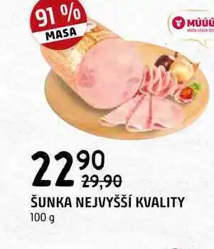 Terno Šunka nejvyšší kvality 100 g nabídka