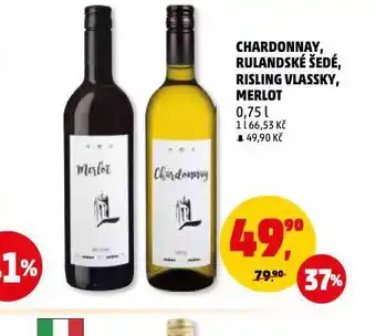 Penny Market Chardonnay nabídka