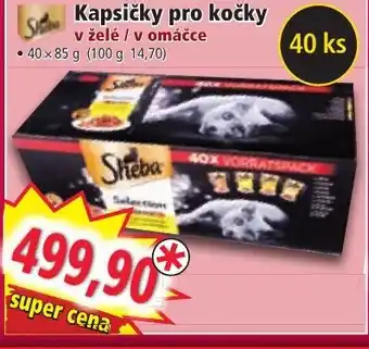 Norma Kapsičky pro kočky nabídka