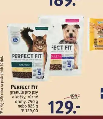 Rossmann Perfect fit granule pro psy nabídka