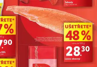 Lidl Losos obecný nabídka