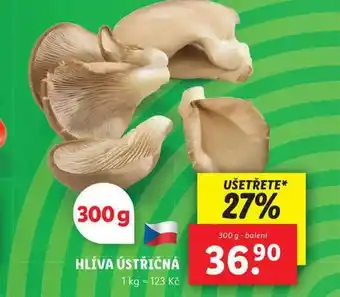 Lidl Hlíva ústřičná nabídka