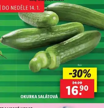 Lidl Okurka salátová nabídka