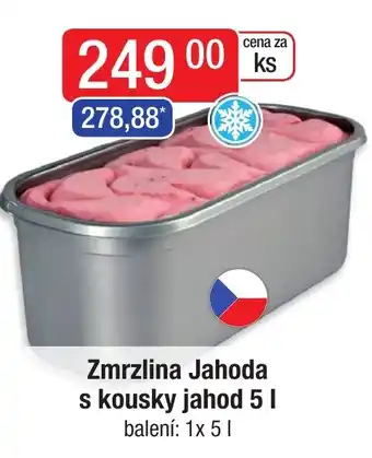 Qanto Zmrzlina Jahoda s kousky jahod 5l nabídka
