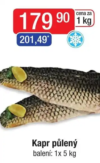 Qanto Kapr půlený nabídka