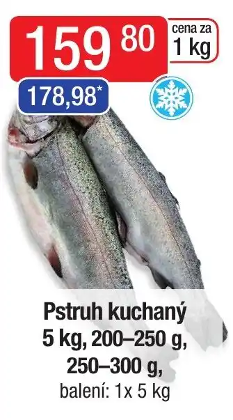 Qanto Pstruh kuchaný 5 kg, 200-250 g, 250-300 g nabídka