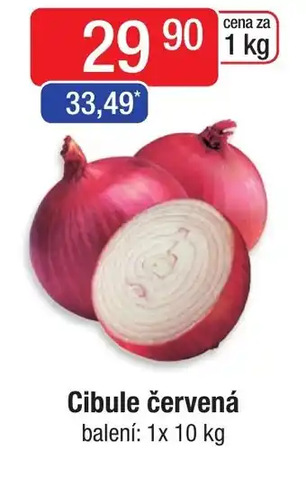 Qanto Cibule červená nabídka