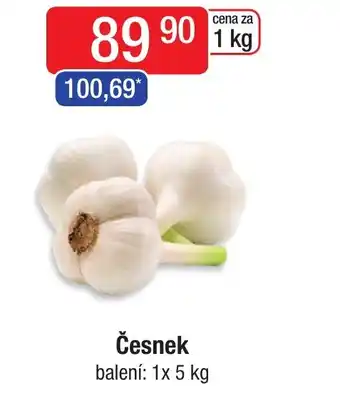 Qanto Česnek nabídka