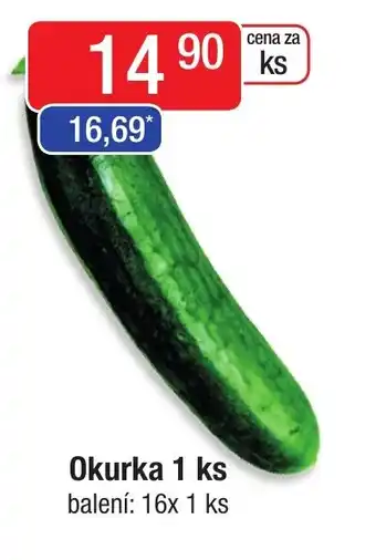 Qanto Okurka 1 ks nabídka