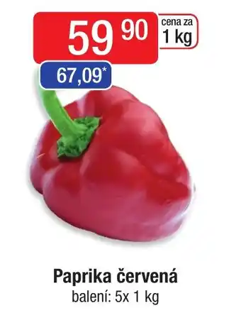Qanto Paprika červená nabídka