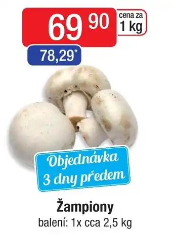 Qanto Žampiony nabídka