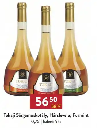 Qanto Tokaji Sárgamuskotály, Hárslevelu, Furmint 0,75L nabídka