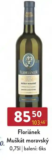 Qanto Floriánek Muškát moravský 0,75L nabídka