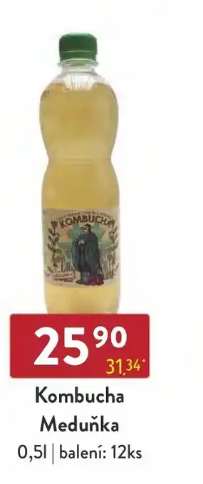Qanto Kombucha Meduňka nabídka