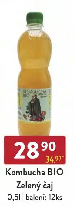 Qanto Kombucha BIO Zelený čaj nabídka