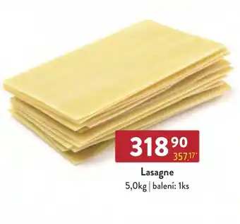 Qanto Lasagne 5.0kg nabídka