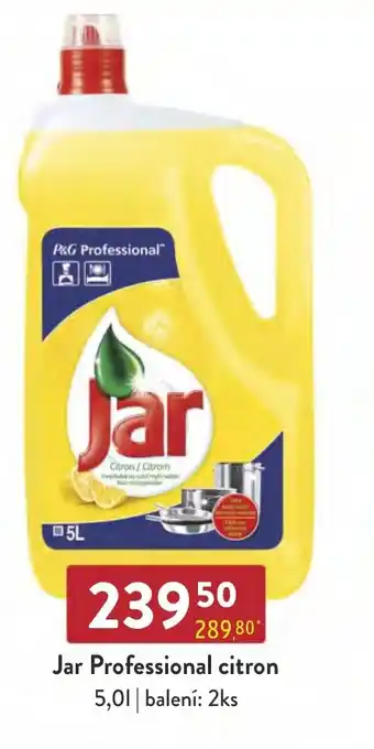 Qanto Jar Professional citron 5,0L nabídka