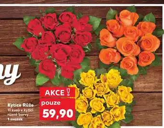 Kaufland Kytice Růže nabídka