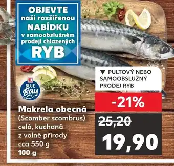Kaufland Makrela obecná nabídka