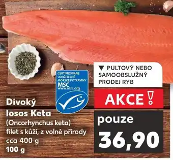 Kaufland Divoký losos Keta nabídka