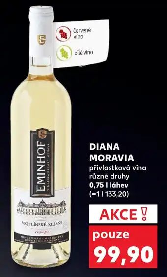 Kaufland DIANA MORAVIA nabídka