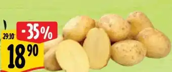 Albert Brambory konzumní pozdní nabídka