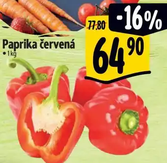 Albert Paprika červená nabídka