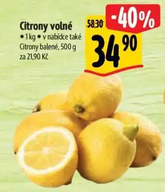 Albert Citrony volné nabídka