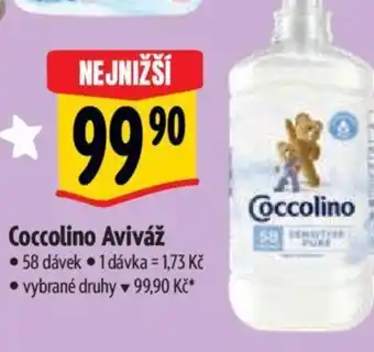 Albert Coccolino Aviváž nabídka