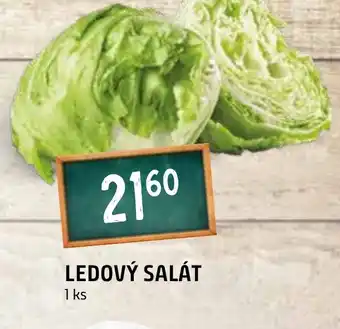 Terno LEDOVÝ SALÁT nabídka