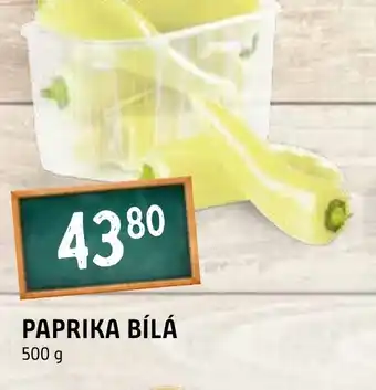 Terno PAPRIKA BÍLÁ nabídka