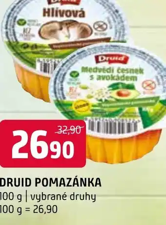 Terno DRUID POMAZÁNKA nabídka