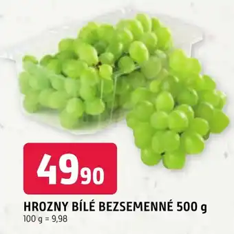 Trefa HROZNY BÍLÉ BEZSEMENNÉ 500 g nabídka