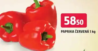 Trefa PAPRIKA ČERVENÁ nabídka
