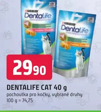 Trefa DENTALIFE CAT 40 g nabídka