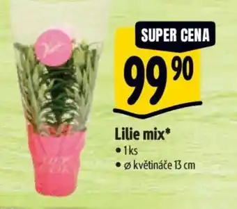 Albert Lilie mix nabídka