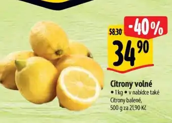 Albert Citrony volné nabídka