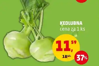 Penny Market KEDLUBNA nabídka